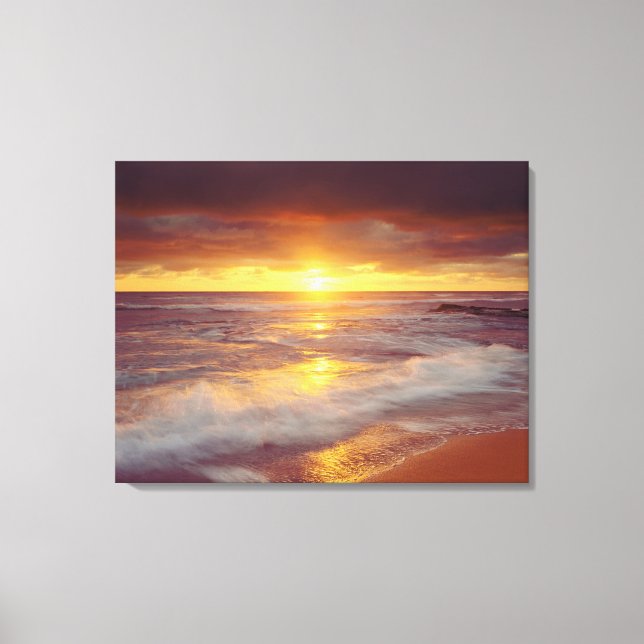 Lienzo EE. UU., California, San Diego. Playa Sunset Cliff (Anverso)