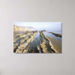 Lienzo EE. UU., California, Santa Bárbara, playa de Henry