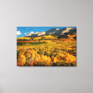 Lienzo EE. UU., Colorado, Bosque Nacional Gunnison