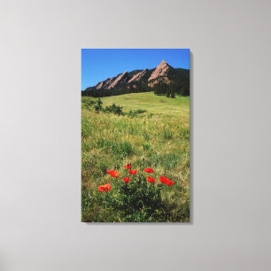 Lienzo EE. UU., Colorado, Boulder. Flatirons y amapolas