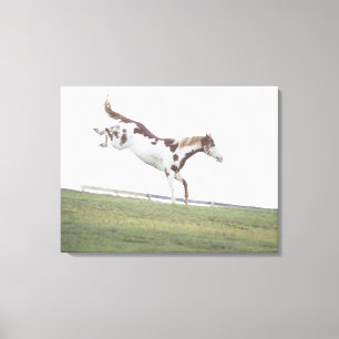 Lienzo EE.UU., estado de Nueva York, Hudson, caballo salt