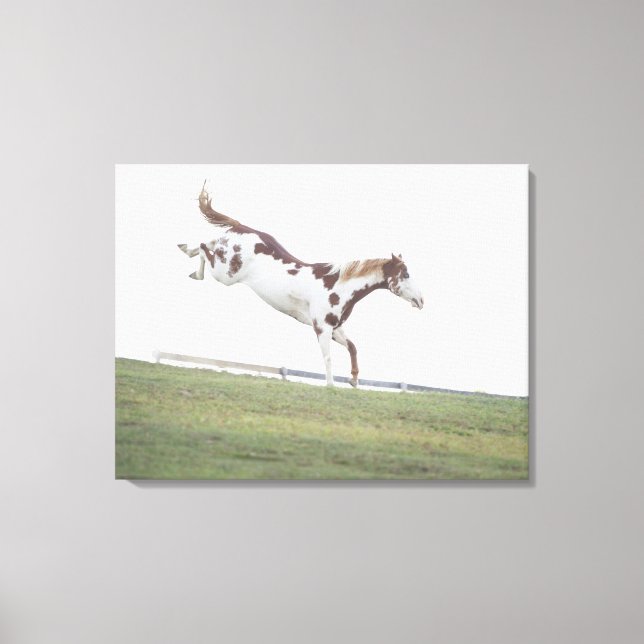 Lienzo EE.UU., estado de Nueva York, Hudson, caballo salt (Anverso)