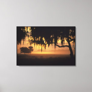 Lienzo EE.UU., Florida, Lago Kissimmee. Silueta de sol