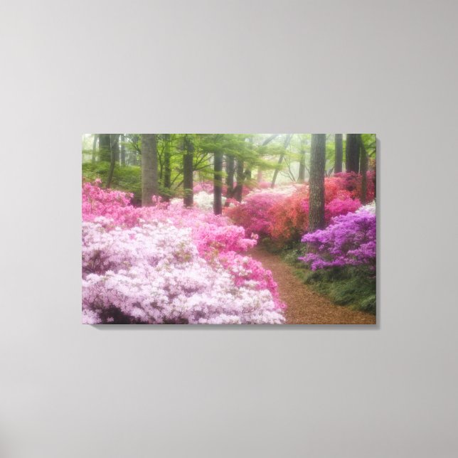 Lienzo EE. UU.; Georgia; Pine Mountain. Azaleas en (Anverso)
