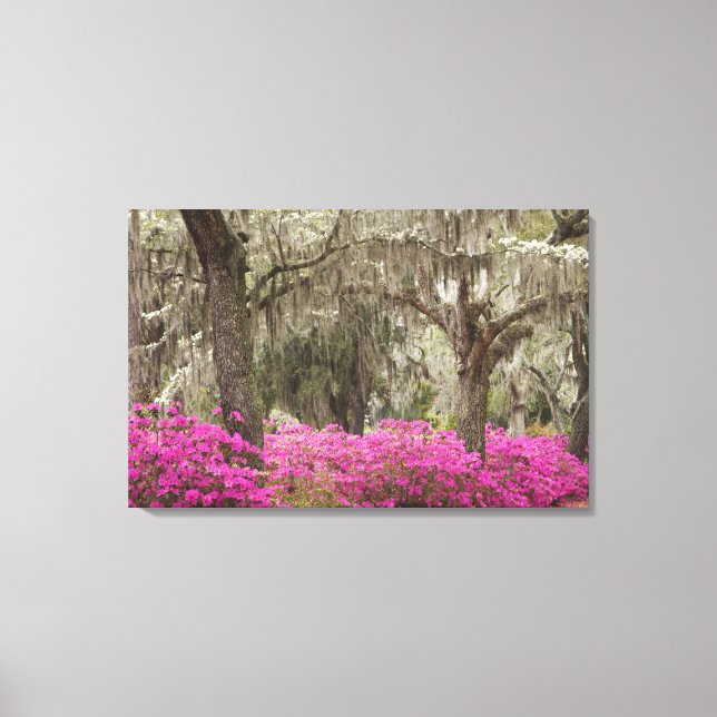 Lienzo EE. UU., Georgia, Savannah, Primavera en Historic (Anverso)