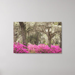 Lienzo EE. UU., Georgia, Savannah, Primavera en Historic