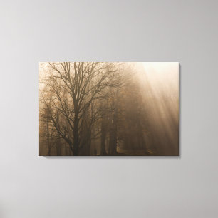 Lienzo EE.UU. Grandes árboles de la Montaña Humeante NP