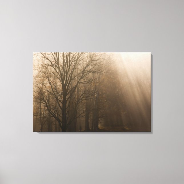 Lienzo EE.UU. Grandes árboles de montaña húmeda NP Tennes (Anverso)