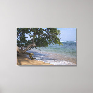 Lienzo EE. UU., Hawái, Kauai, paisaje de playa. RF)
