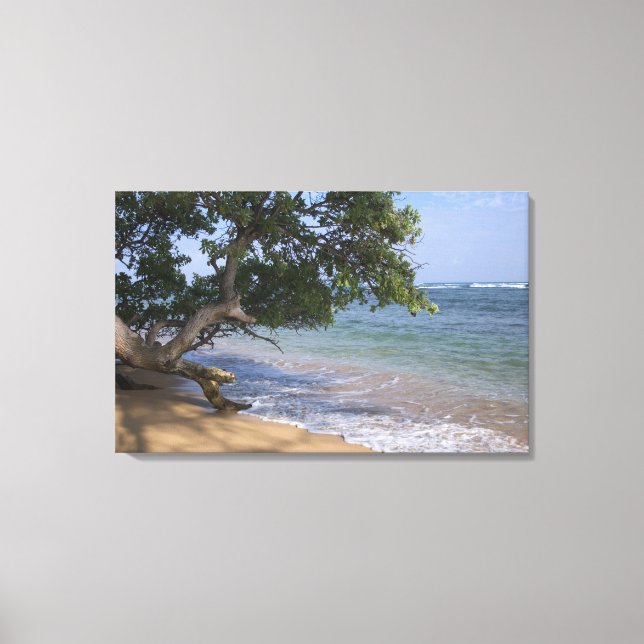 Lienzo EE. UU., Hawái, Kauai, paisaje de playa. RF) (Anverso)