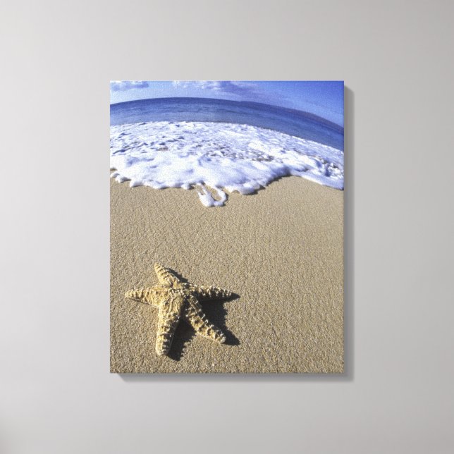 Lienzo EE. UU., Hawái, Maui, Makena Beach, Estrella de ma (Anverso)