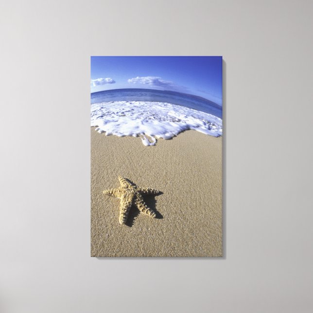 Lienzo EE. UU., Hawái, Maui, Makena Beach, Estrella de ma (Anverso)