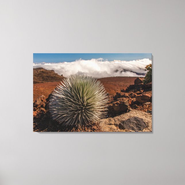 Lienzo EE. UU., Hawái, Maui, Parque Nacional Haleakala (Anverso)