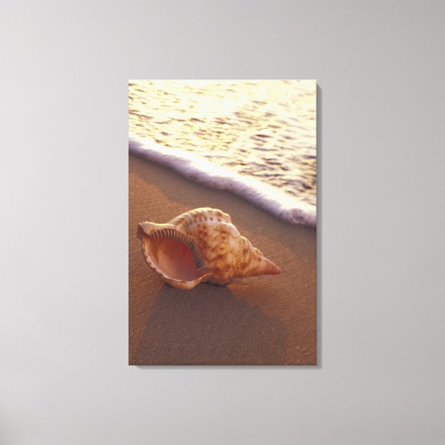 Lienzo EE.UU., Hawaii, Maui, Kihei, la noche se enciende (Anverso)