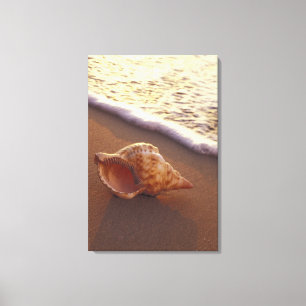 Lienzo EE.UU., Hawaii, Maui, Kihei, la noche se enciende