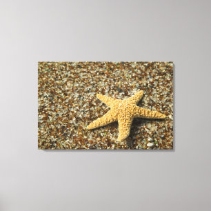Lienzo EE. UU., HI, Kauai, Glass Beach con estrella de ma