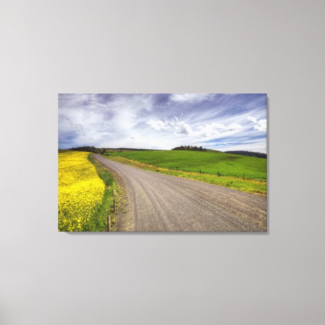 Lienzo EE. UU., Idaho, Condado de Idaho, Campo de canola (Anverso)