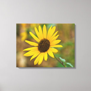 Lienzo EE. UU., Kansas, Girasol Primer Plano