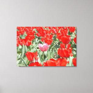 Lienzo EE. UU., Kansas, Tulipanes rojos con un tulipán ro
