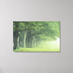 Lienzo EE.UU., Kentucky. Fila de árboles en primavera