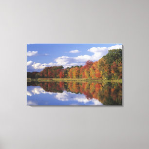 Lienzo EE. UU., Massachusetts, Acton. Reflejo de otoño