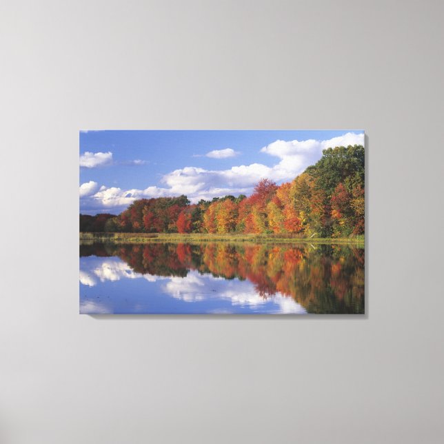Lienzo EE. UU., Massachusetts, Acton. Reflejo de otoño (Anverso)