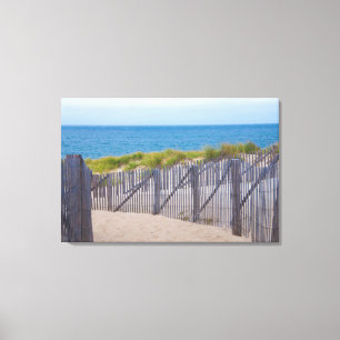 Lienzo EE. UU., Massachusetts. Dunas y camino