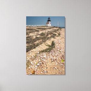 Lienzo EE. UU., Massachusetts, Nantucket. Concha