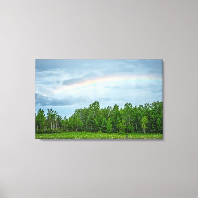 Lienzo EE. UU., Minnesota. Pradera verde con flores silve (Anverso)
