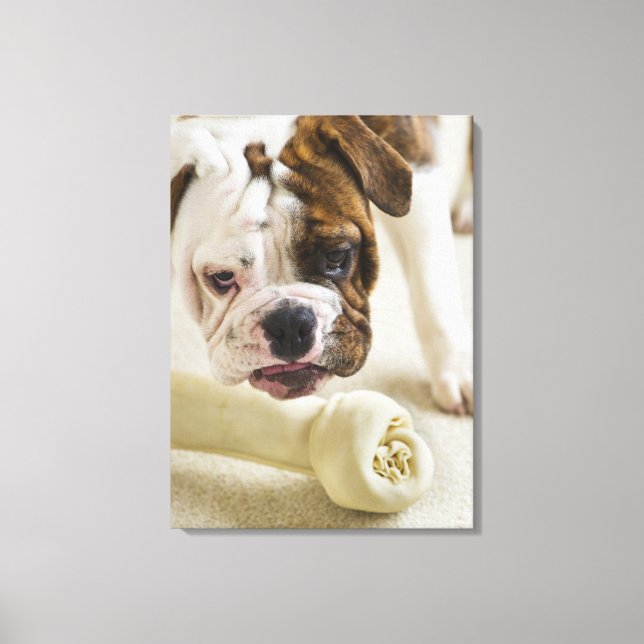 Lienzo EE.UU., Nueva Jersey, Jersey City, bulldog pequeño (Anverso)