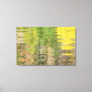 Lienzo EE.UU., Nueva York, Adirondacks, reflexiones sobre