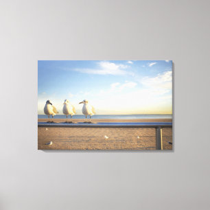 Lienzo EE.UU., Nueva York, Isla Coney, tres gaviotas