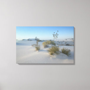 Lienzo EE. UU., Nuevo México, White Sands National 2