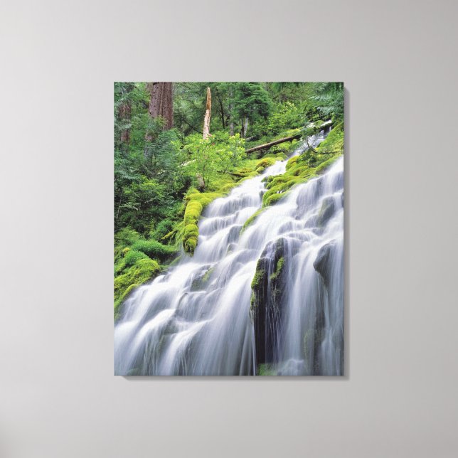 Lienzo EE.UU., Oregón, Cataratas Proxy. Volcán proxy (Anverso)