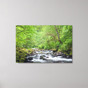 Lienzo EE.UU., Oregón, desfiladero del río Columbia, Ta