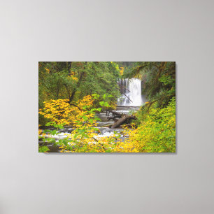 Lienzo EE.UU., Oregón, Parque Estatal Silver Falls 2