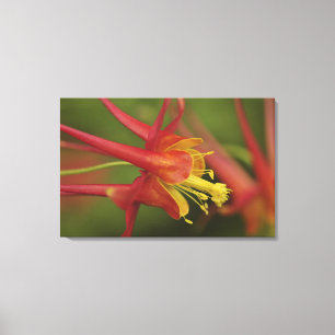 Lienzo EE.UU., Oregón, Portland. Cierre de la columna