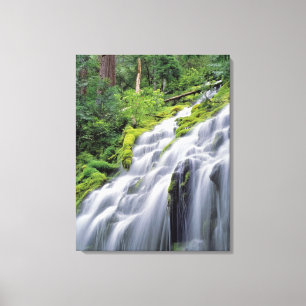 Lienzo EE. UU., Oregón, Proxy Falls. Proxy Falls se preci