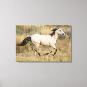 Lienzo EE. UU., Oregón, Seneca, Ponderosa Ranch. Caballo