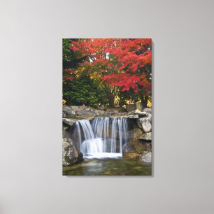 Lienzo EE. UU., Redmond, Washington. Colores de otoño en