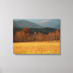 Lienzo EE. UU., Tennessee. Cades Cove en Smoky Mountain