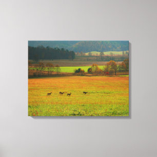 Lienzo EE. UU., Tennessee. Cades Cove en Smoky Mountain 2