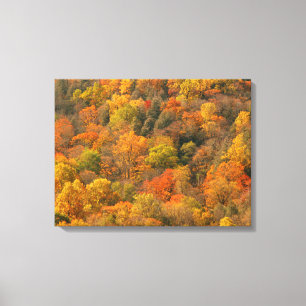 Lienzo EE. UU., Tennessee. Follaje de otoño 2