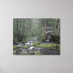 Lienzo EE.UU., Tennessee, Great Smoky Mountains National 
