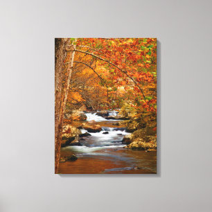 Lienzo EE. UU., Tennessee. Rushing Mountain Creek