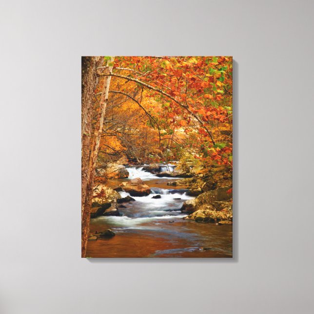 Lienzo EE. UU., Tennessee. Rushing Mountain Creek (Anverso)