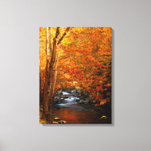Lienzo EE. UU., Tennessee. Rushing Mountain Creek 2