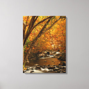 Lienzo EE. UU., Tennessee. Rushing Mountain Creek 3