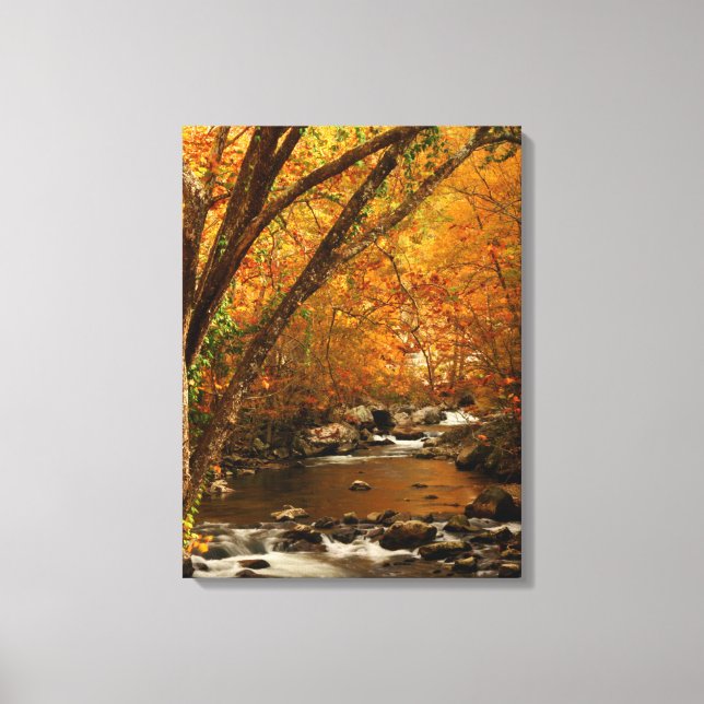 Lienzo EE. UU., Tennessee. Rushing Mountain Creek 3 (Anverso)
