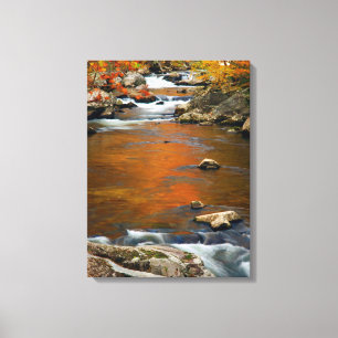 Lienzo EE. UU., Tennessee. Rushing Mountain Creek 4